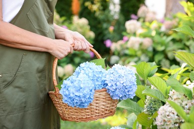 Photo of Senior woman with wicker basket of flowers in garden, closeup