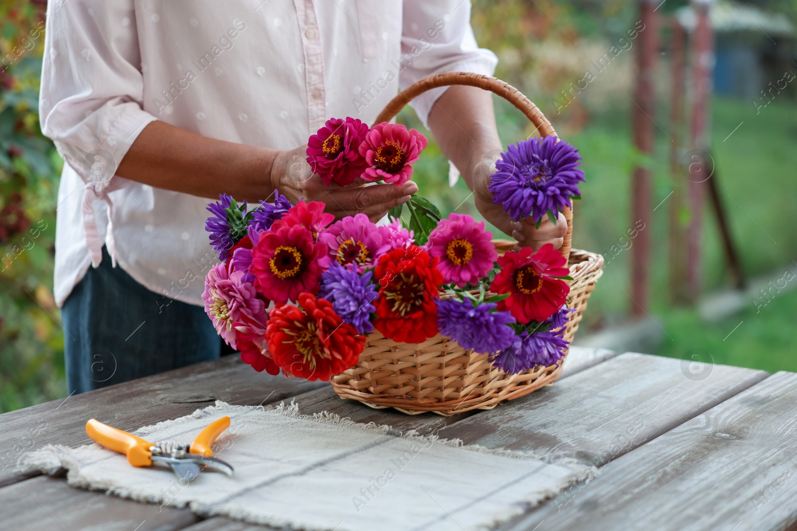 Photo of Senior woman making beautiful bouquet of flowers at wooden table in garden, closeup