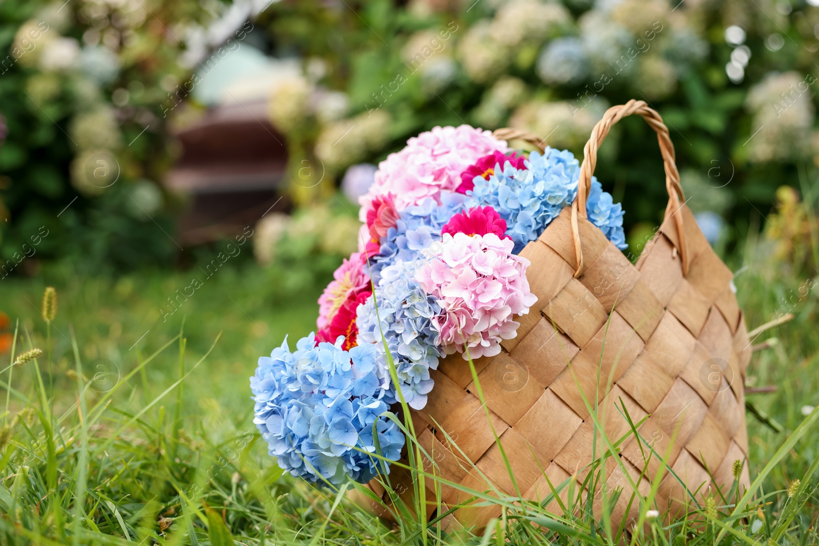 Beautiful bouquet of flowers in bag on green grass outdoors, closeup. Space for text Photo of Beautiful bouquet of flowers in bag on green grass outdoors, closeup. Space for text