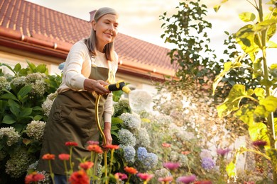 Photo of Senior woman watering beautiful flowers with hose in garden, low angle view