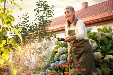 Photo of Senior woman watering beautiful flowers with hose in garden