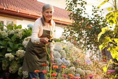 Photo of Senior woman watering beautiful flowers with hose in garden