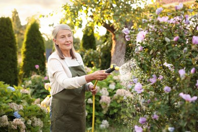 Photo of Senior woman watering beautiful flowers with hose in garden