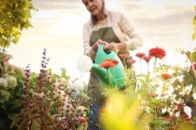 Photo of Senior woman watering beautiful flowers with can in garden, low angle view