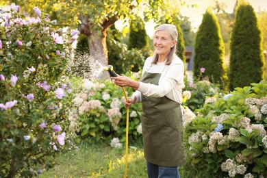Photo of Senior woman watering beautiful flowers with hose in garden