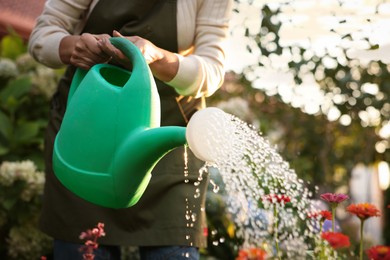 Photo of Senior woman watering beautiful flowers with can in garden, closeup