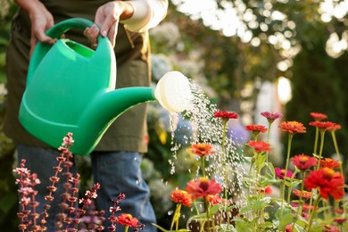 Photo of Senior woman watering beautiful flowers with can in garden, closeup