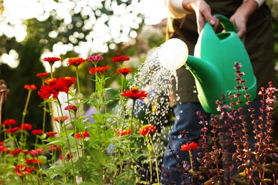 Photo of Senior woman watering beautiful flowers with can in garden, closeup