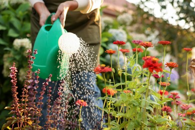 Photo of Senior woman watering beautiful flowers with can in garden, closeup