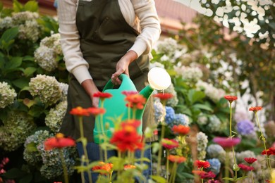 Photo of Senior woman watering beautiful flowers with can in garden, closeup
