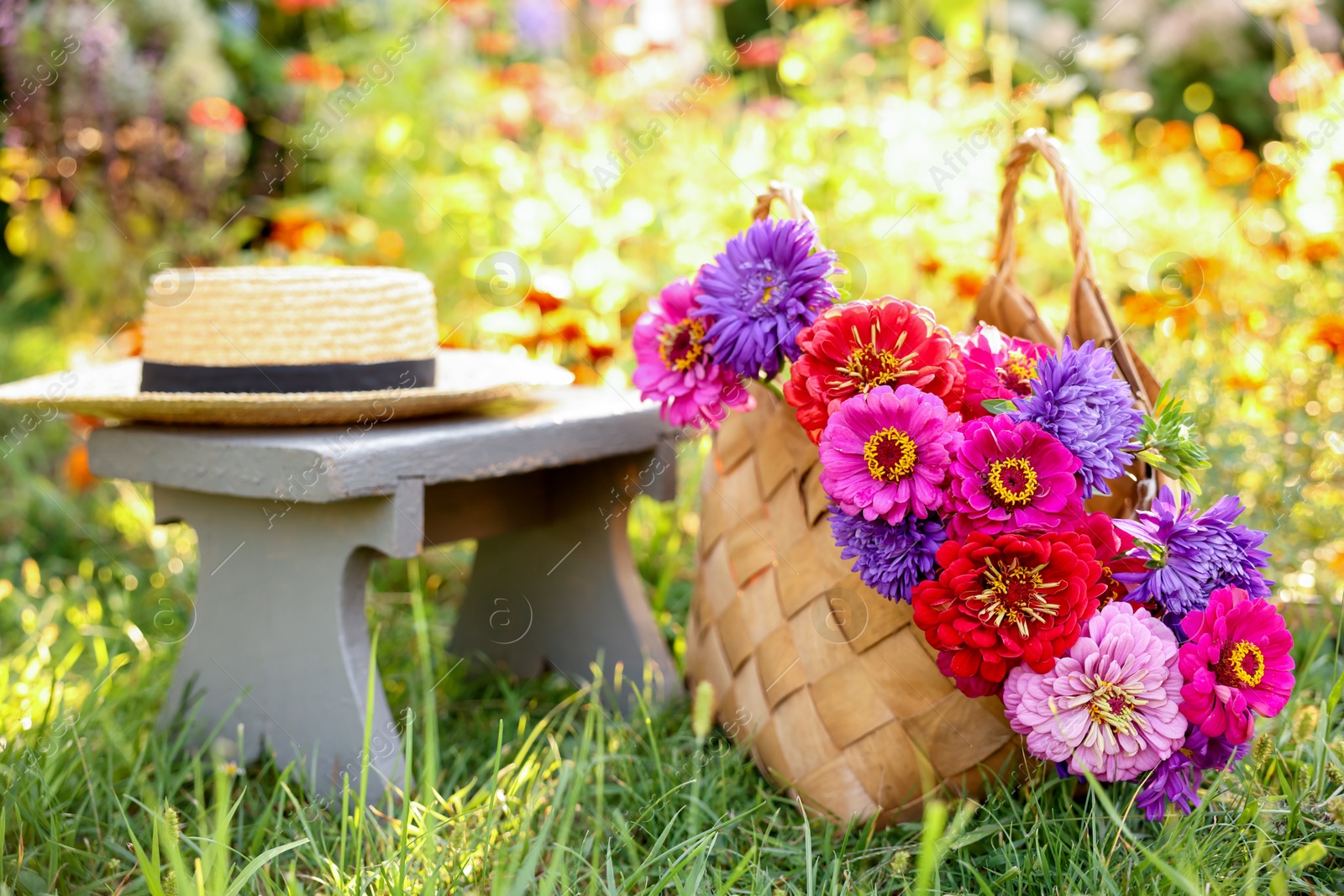 Photo of Bouquet of flowers in bag, stool and wicker hat on green grass outdoors