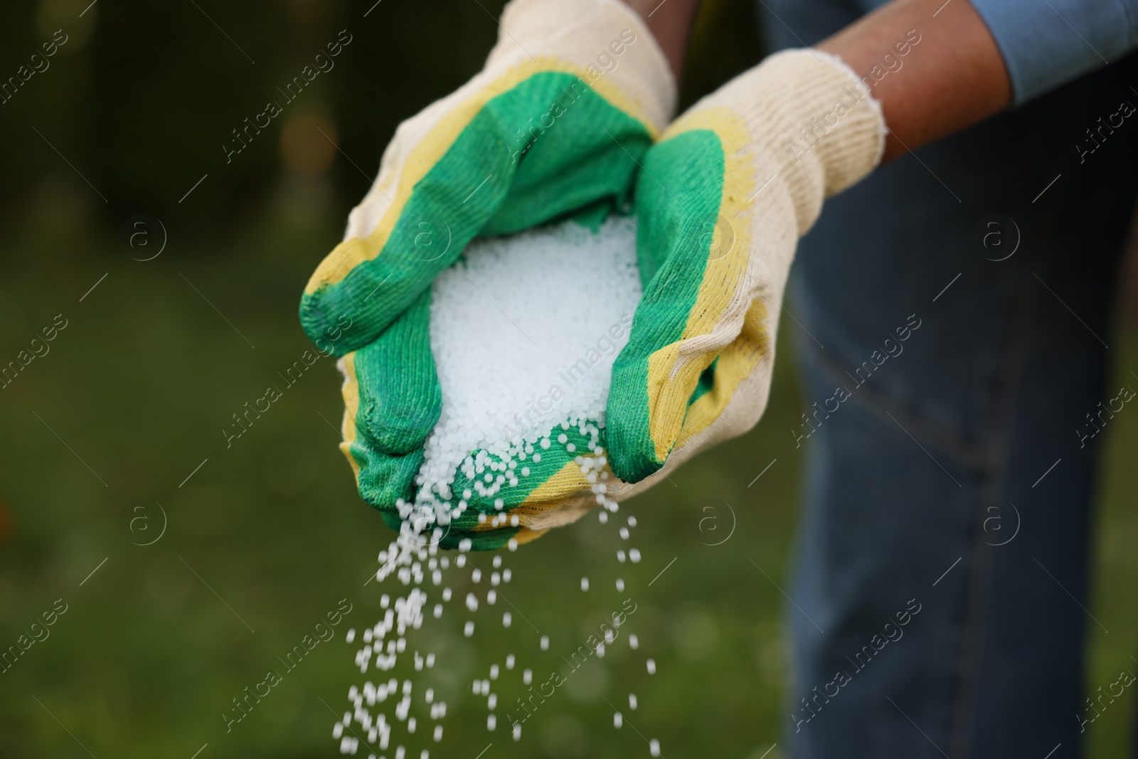 Photo of Woman pouring fertilizer outdoors, closeup. Gardening time