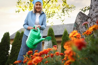 Photo of Senior woman watering beautiful flowers with can in garden, low angle view