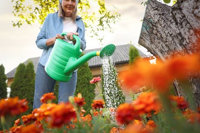 Photo of Senior woman watering beautiful flowers with can in garden, low angle view