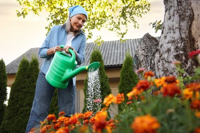 Photo of Senior woman watering beautiful flowers with can in garden, low angle view