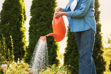 Photo of Senior woman watering plant with can in garden, closeup