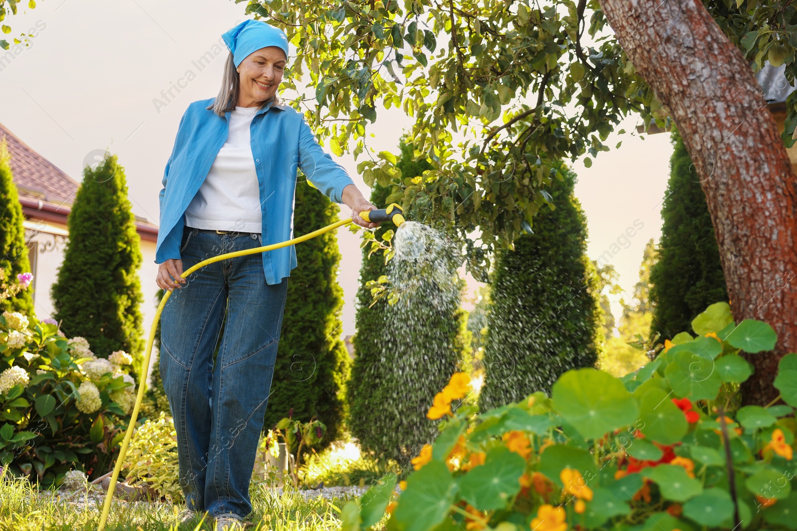 Photo of Senior woman watering beautiful flowers with hose in garden, low angle view