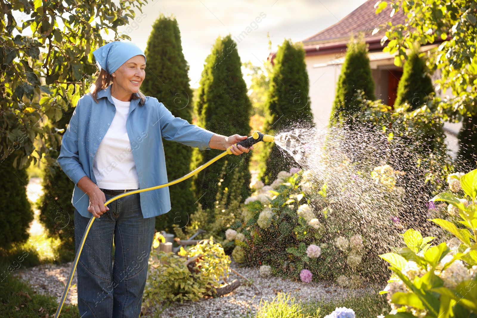 Photo of Senior woman watering beautiful flowers with hose in garden