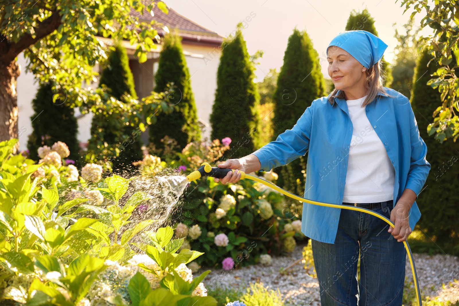 Photo of Senior woman watering beautiful flowers with hose in garden