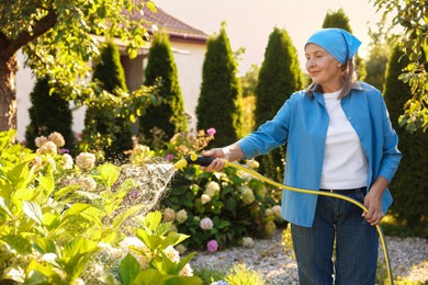 Photo of Senior woman watering beautiful flowers with hose in garden