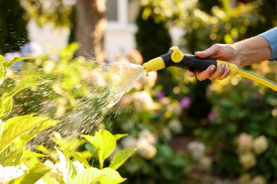 Photo of Senior woman watering plant with hose in garden, closeup