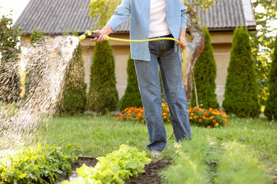 Photo of Woman watering beautiful green seedling with hose in garden, closeup