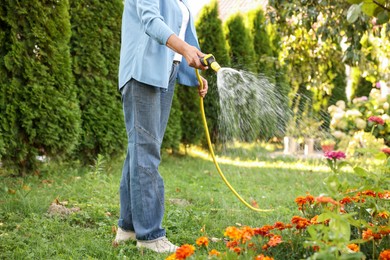 Photo of Senior woman watering beautiful flowers with hose in garden, closeup