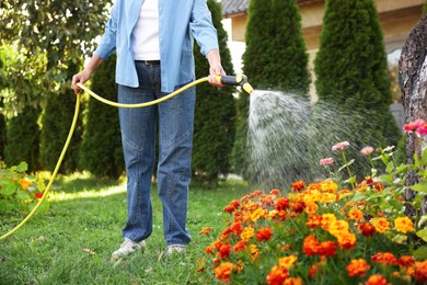 Photo of Senior woman watering beautiful flowers with hose in garden, closeup