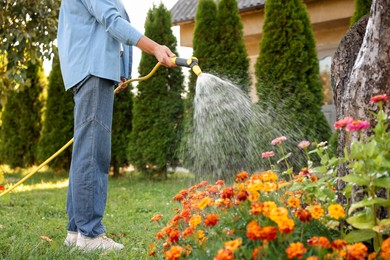 Photo of Senior woman watering beautiful flowers with hose in garden, closeup