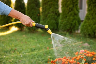 Photo of Senior woman watering beautiful flowers with hose in garden, closeup