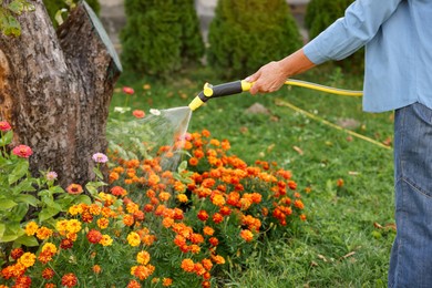 Photo of Senior woman watering beautiful flowers with hose in garden, closeup