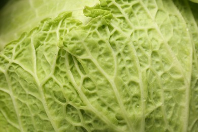 Photo of Fresh ripe Savoy cabbage as background, closeup