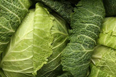 Photo of Fresh ripe Savoy cabbages as background, closeup