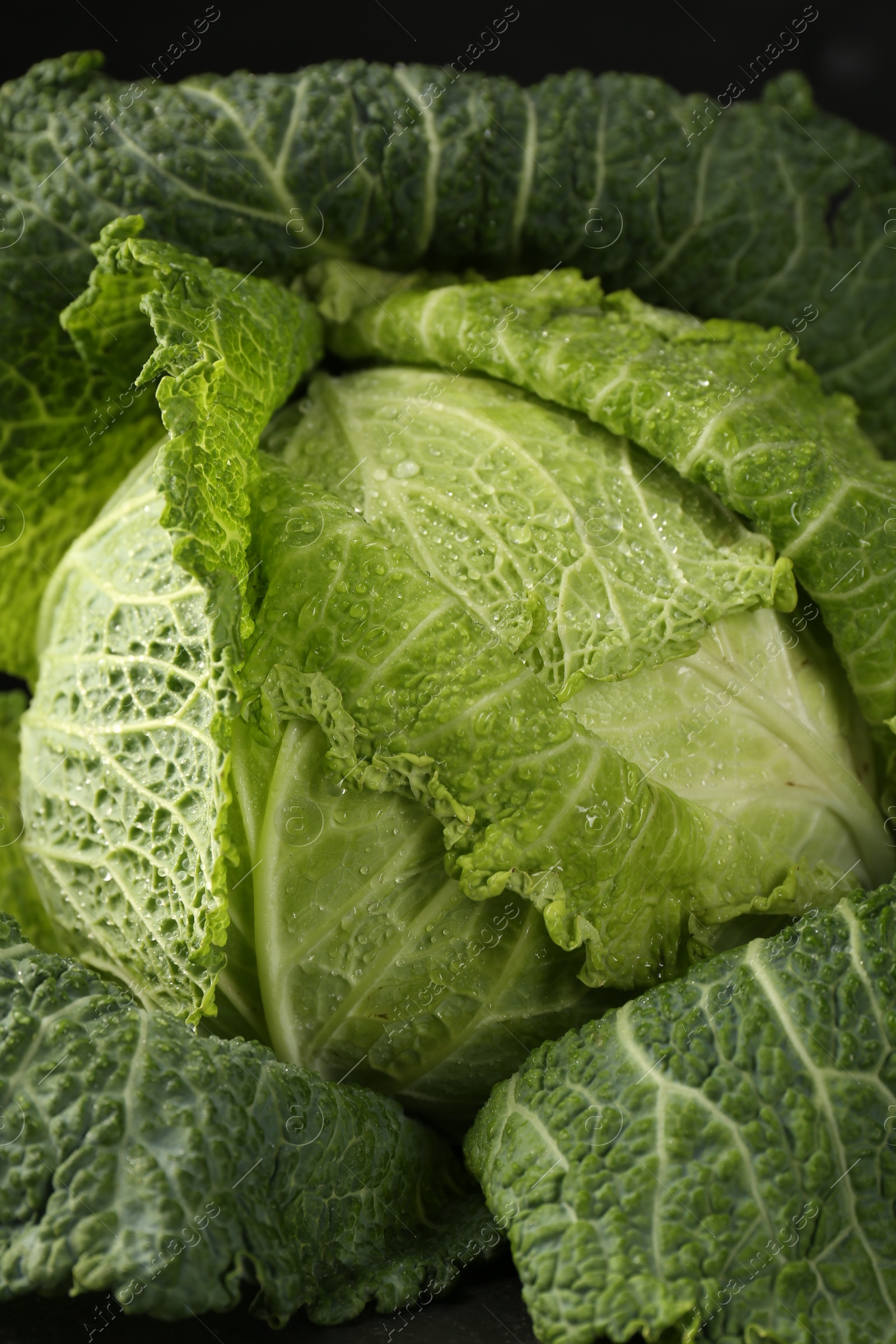 Photo of Fresh ripe Savoy cabbage on black background, closeup