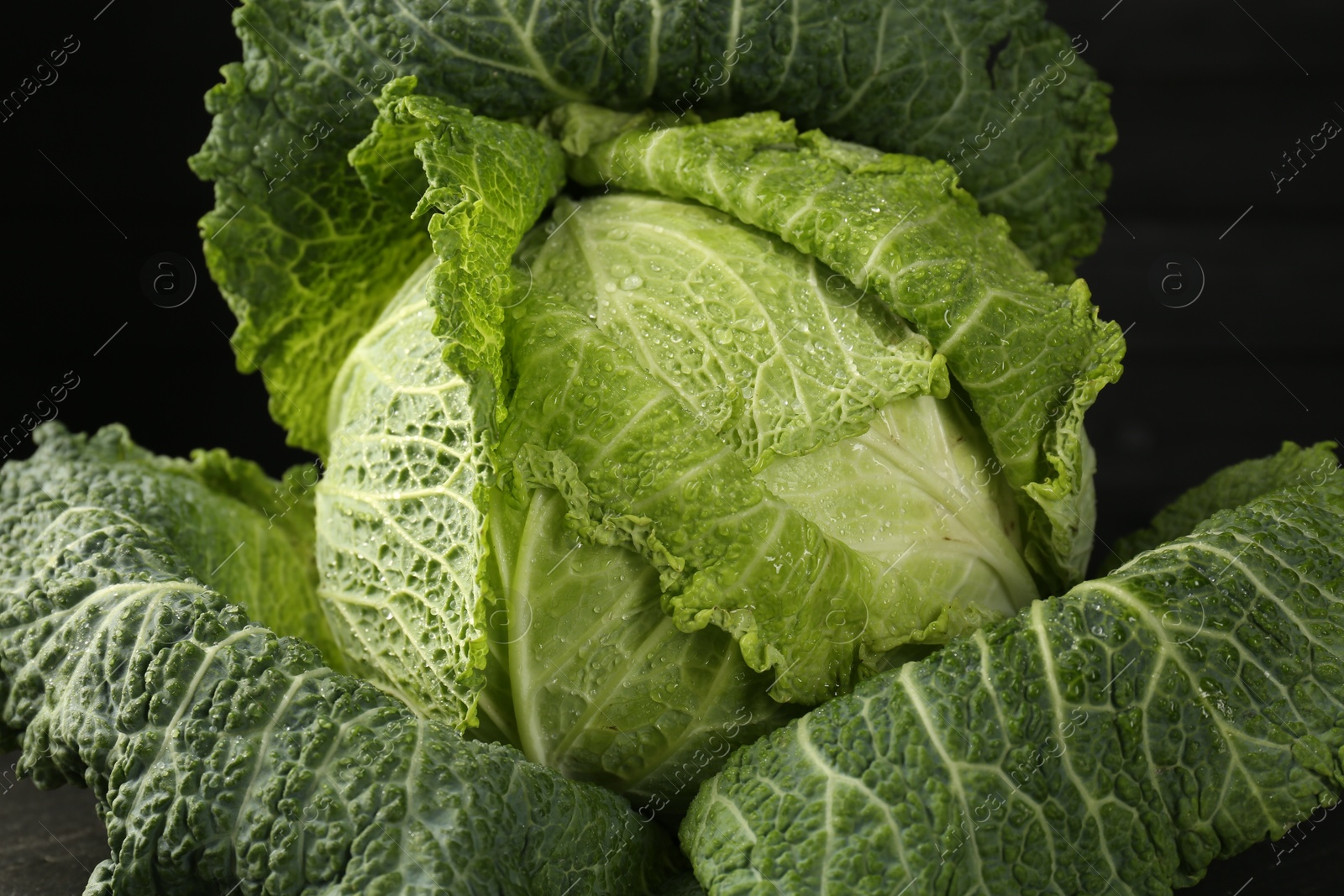 Photo of Fresh ripe Savoy cabbage on black background, closeup
