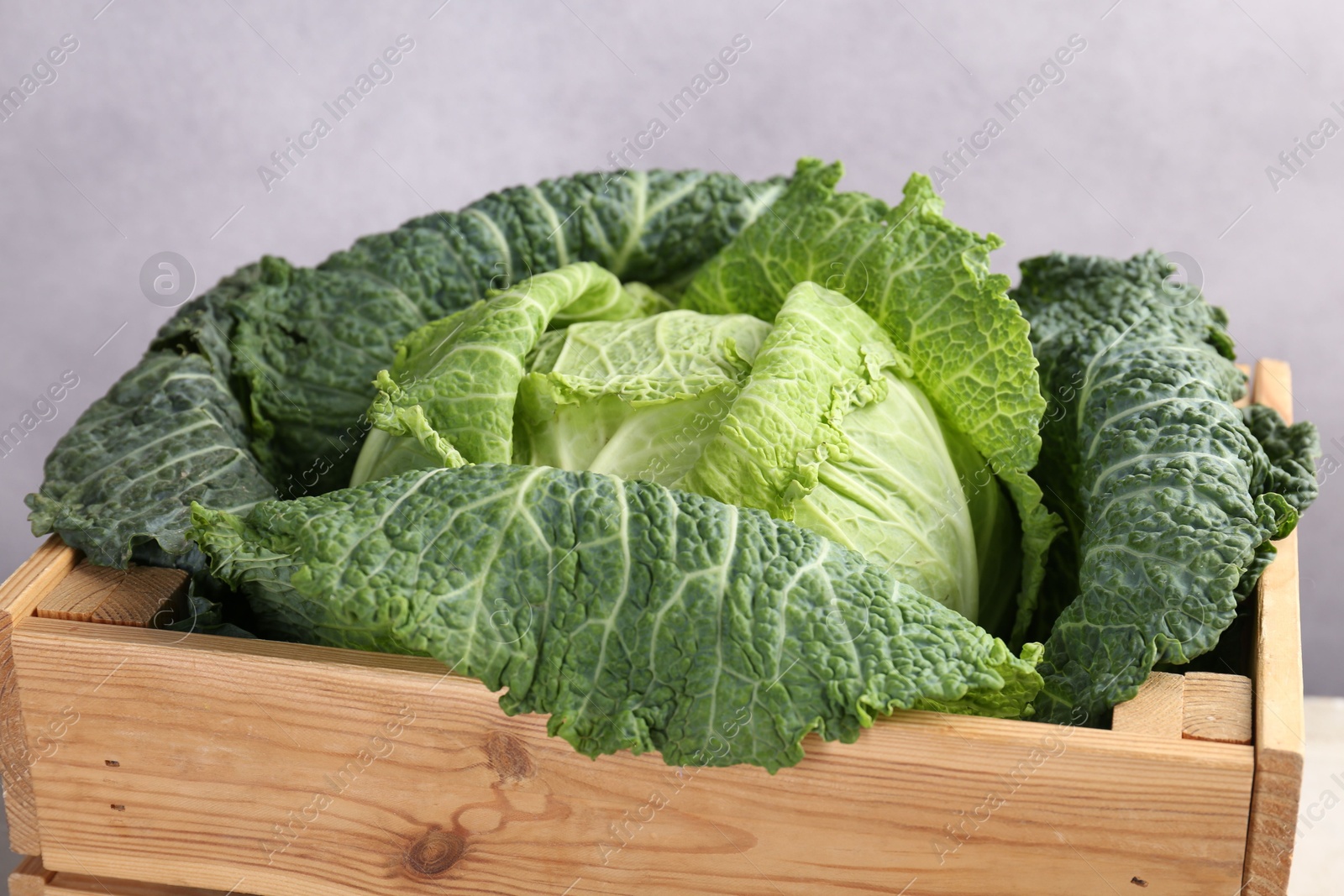 Photo of Fresh Savoy cabbage in wooden crate on grey background, closeup