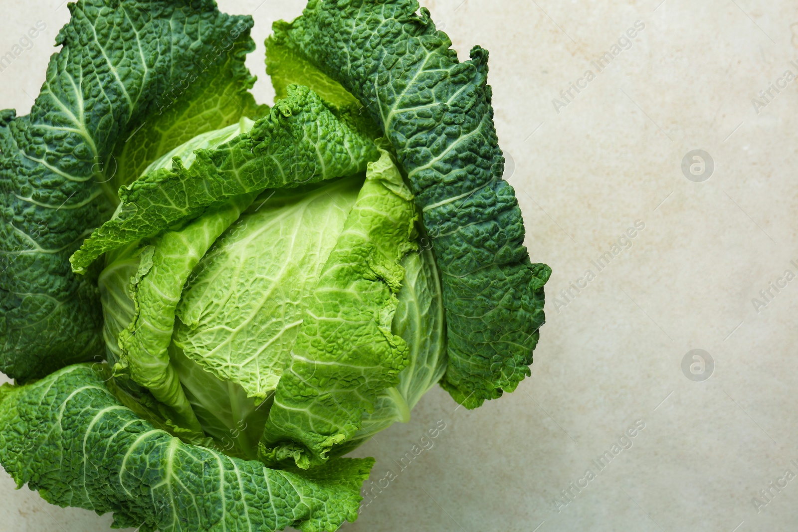 Photo of Fresh Savoy cabbage on light grey table, top view. Space for text