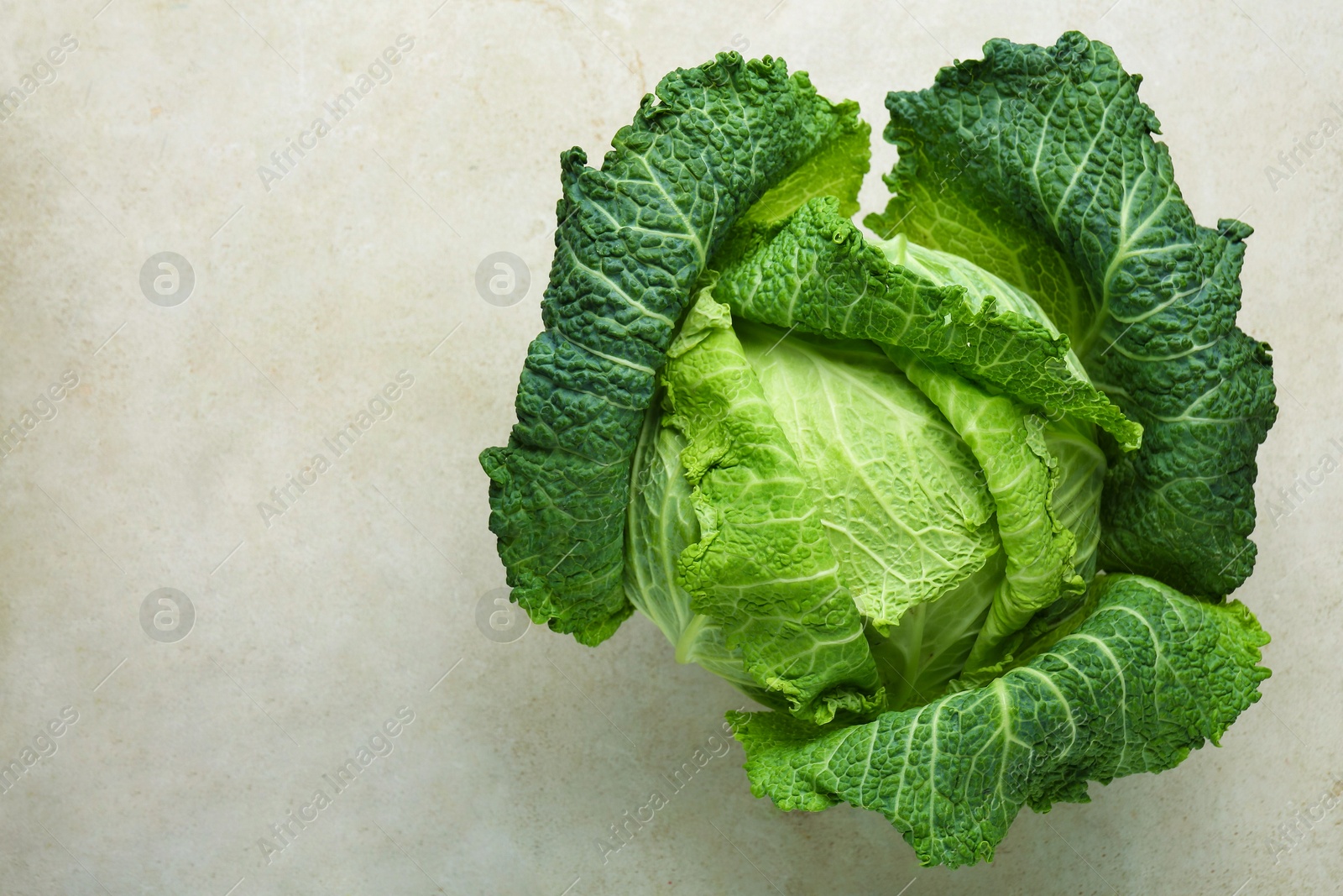 Photo of Fresh Savoy cabbage on light grey table, top view. Space for text