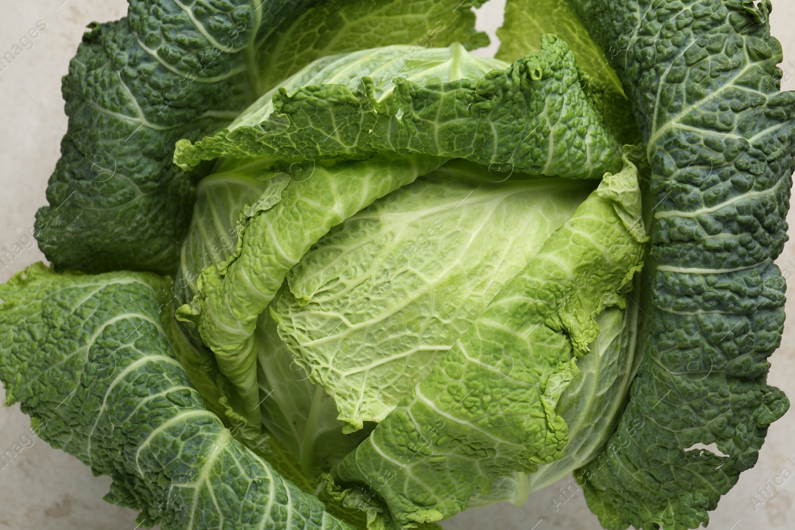 Photo of Fresh Savoy cabbage on light grey table, top view