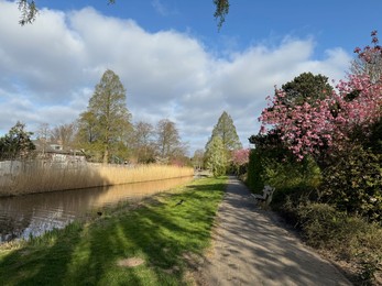 Photo of Beautiful blooming trees, canal and pathway in park on spring day