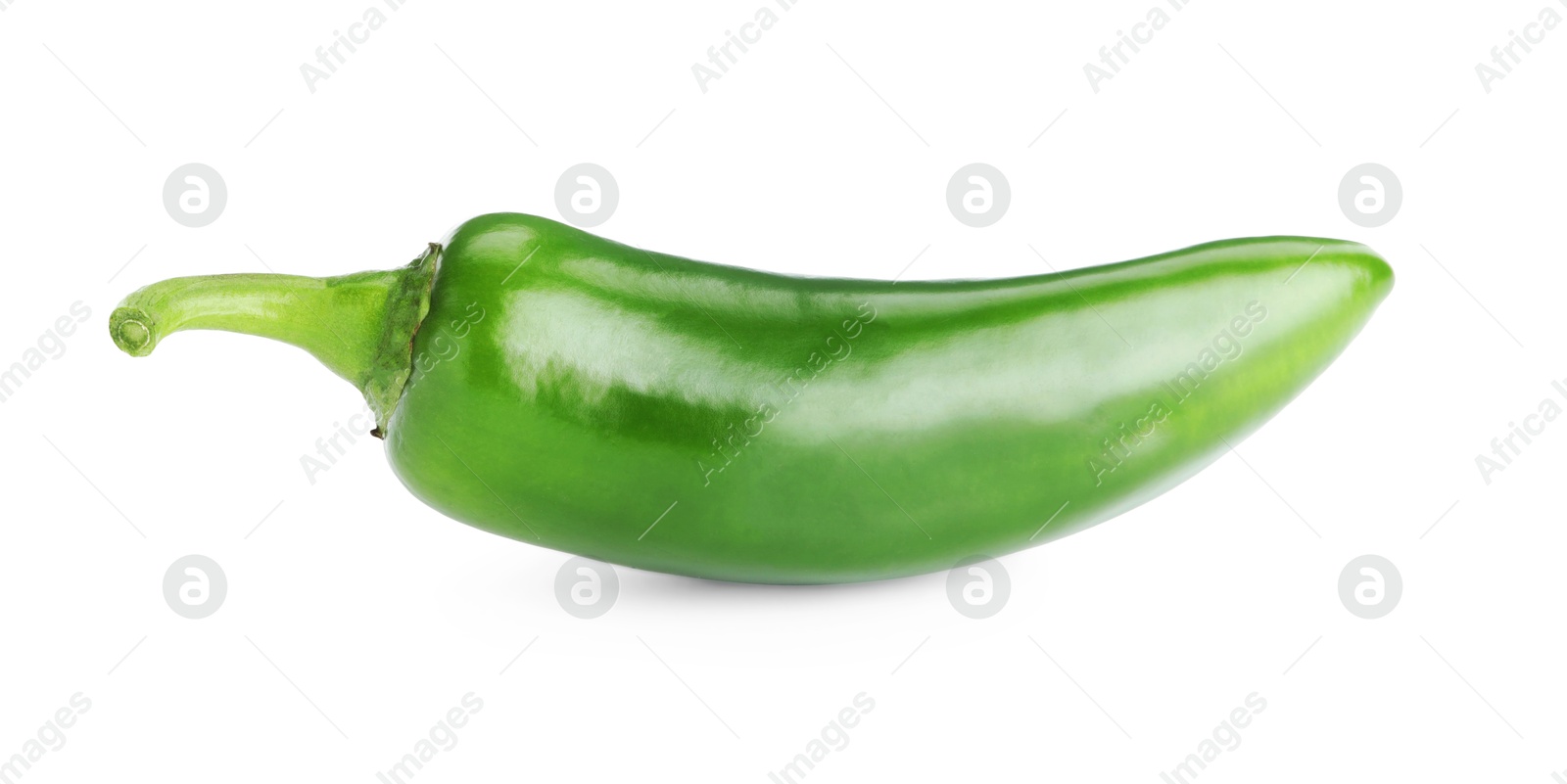 Photo of One whole green jalapeno pepper isolated on white