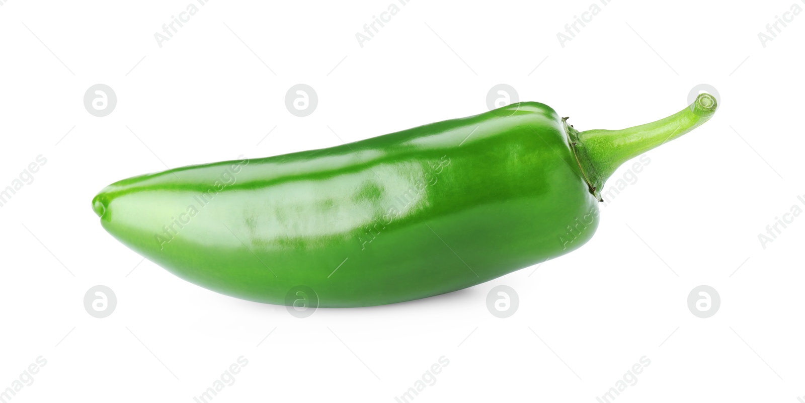 Photo of One whole green jalapeno pepper isolated on white