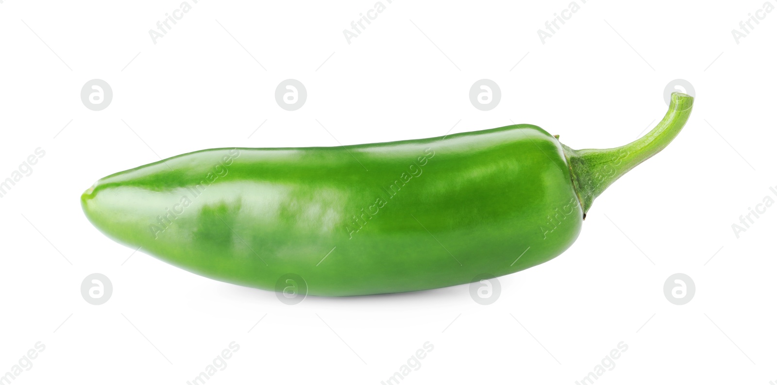 Photo of One whole green jalapeno pepper isolated on white