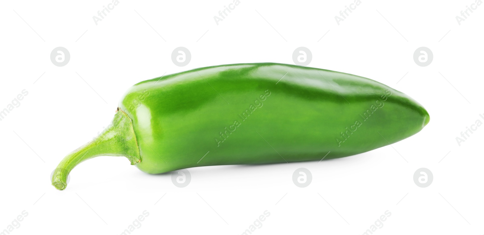 Photo of One whole green jalapeno pepper isolated on white