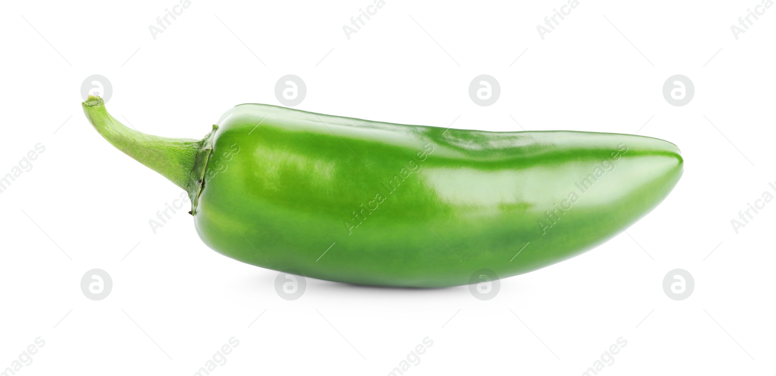 Photo of One whole green jalapeno pepper isolated on white