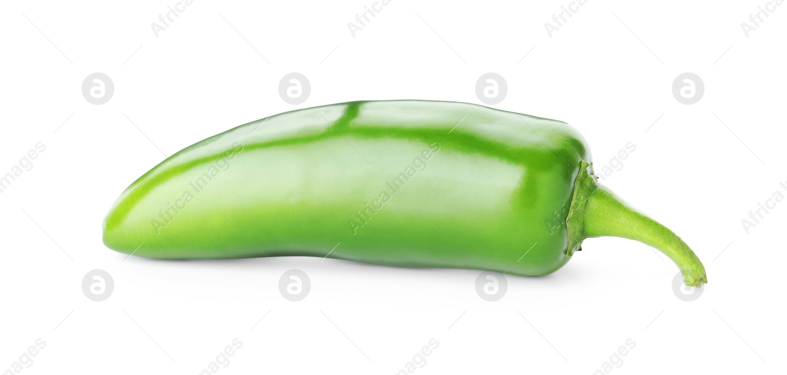 Photo of One whole green jalapeno pepper isolated on white