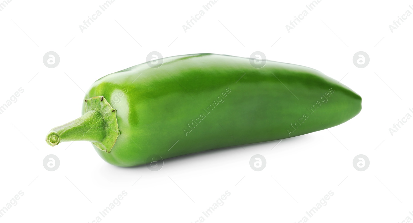 Photo of One whole green jalapeno pepper isolated on white