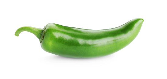 Photo of One whole green jalapeno pepper isolated on white