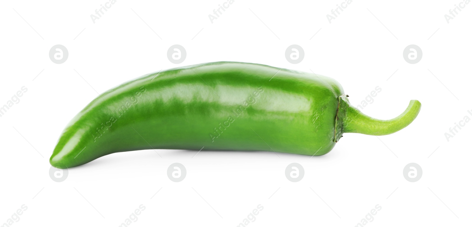 Photo of One whole green jalapeno pepper isolated on white