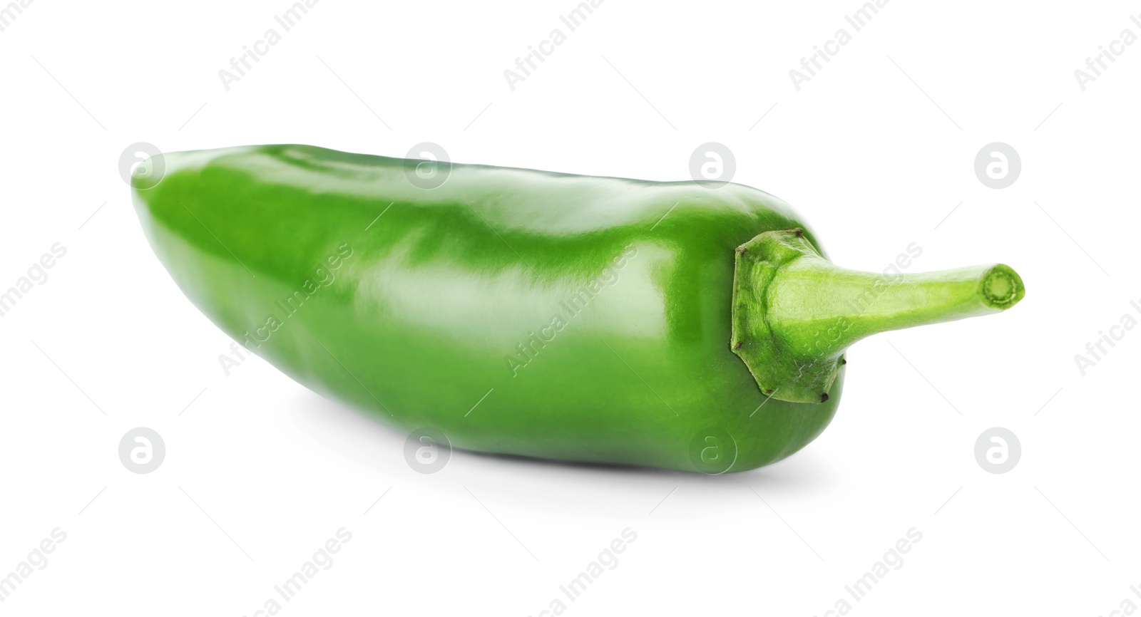 Photo of One whole green jalapeno pepper isolated on white
